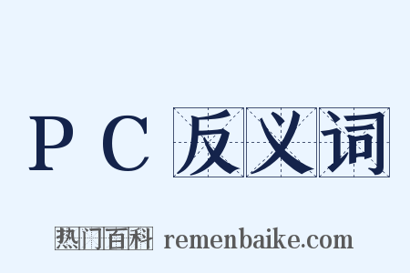 PC反义词是什么意思的图片